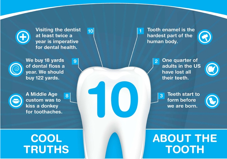 The best dental infographic of 2014